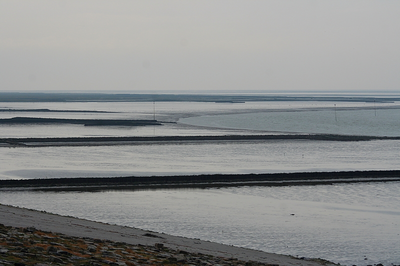 Wattenmeer Sandwatt Schlickwatt Nordsee Wattenmeer Sandwatt Schlickwatt Nordsee
